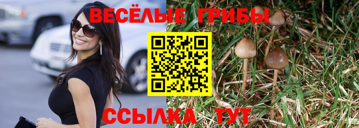 Псилоцибиновые грибы Cubensis Мценск