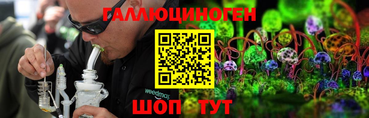 Галлюциногенные грибы Cubensis  Вход с VPN  Псилоцибиновые грибы прущие грибы  Мценск 