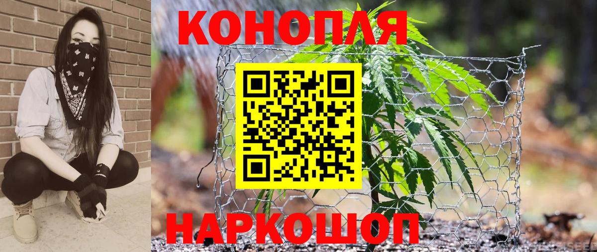 Бошки марихуана SATIVA & INDICA  Бошки марихуана семена  Мценск  МАРИХУАНА White Widow  Вход с VPN 